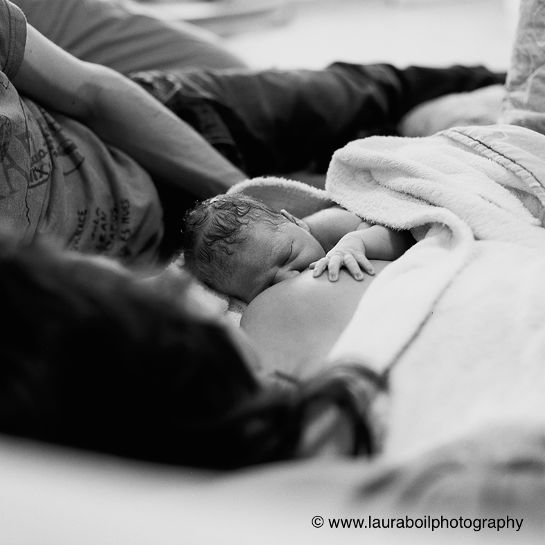 vanessa&amp;swannblog